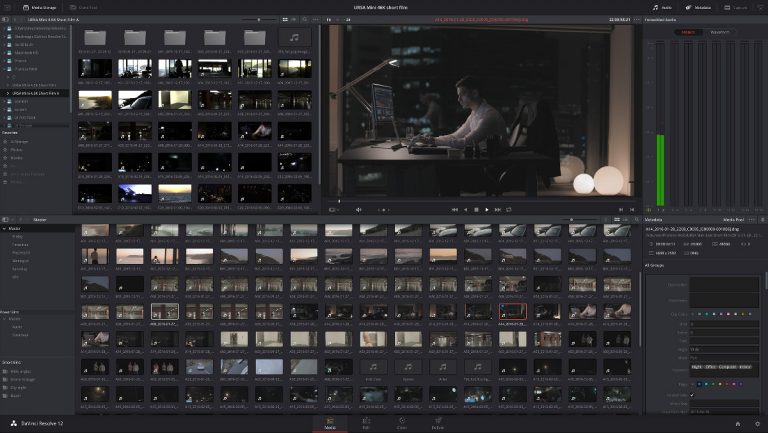 davinci resolve studio 12.5.